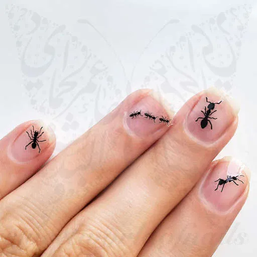 Ant Nail Art Nail Stickers