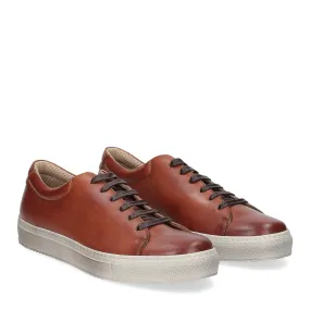 Griffis sneaker 732 pelle cuoio - Al Siletto | Al Siletto