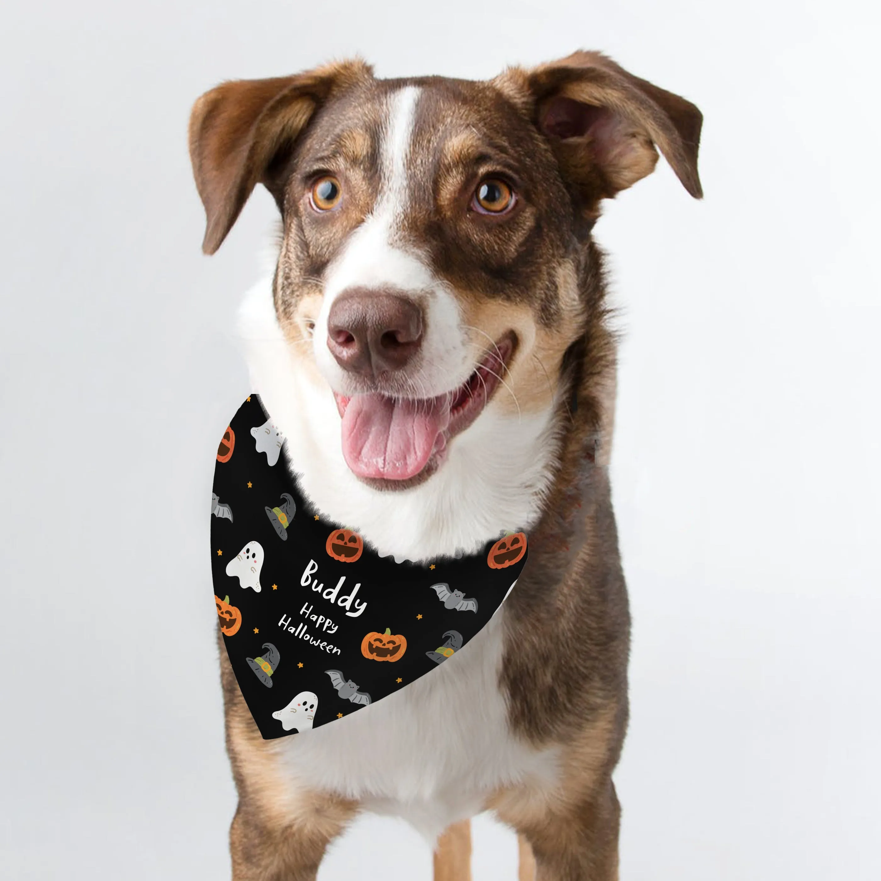 Personalised Halloween Dog Bandana