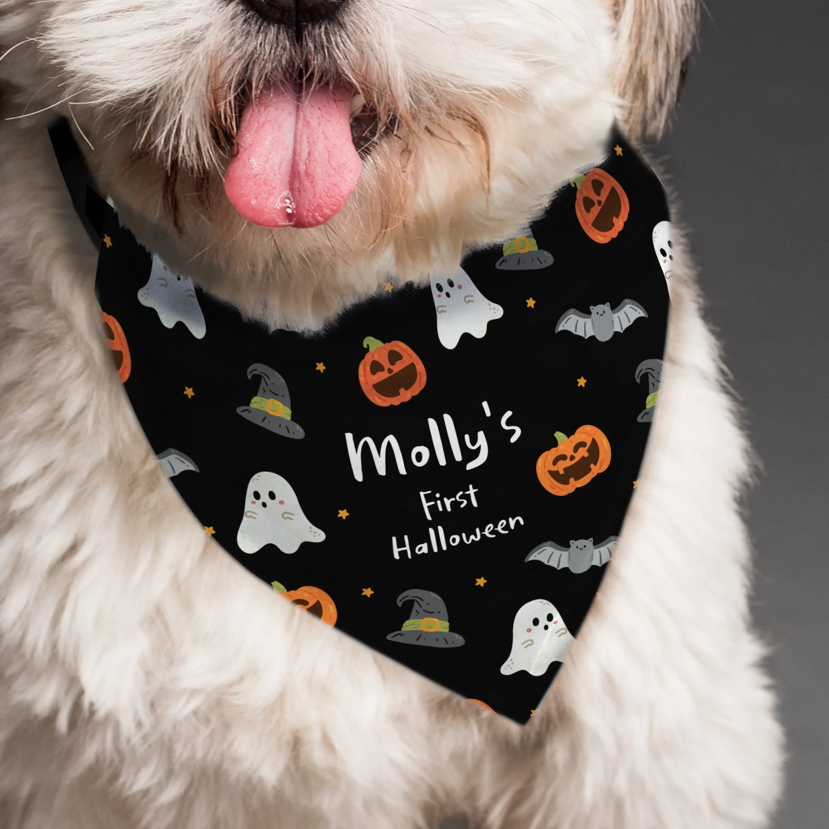 Personalised Halloween Dog Bandana